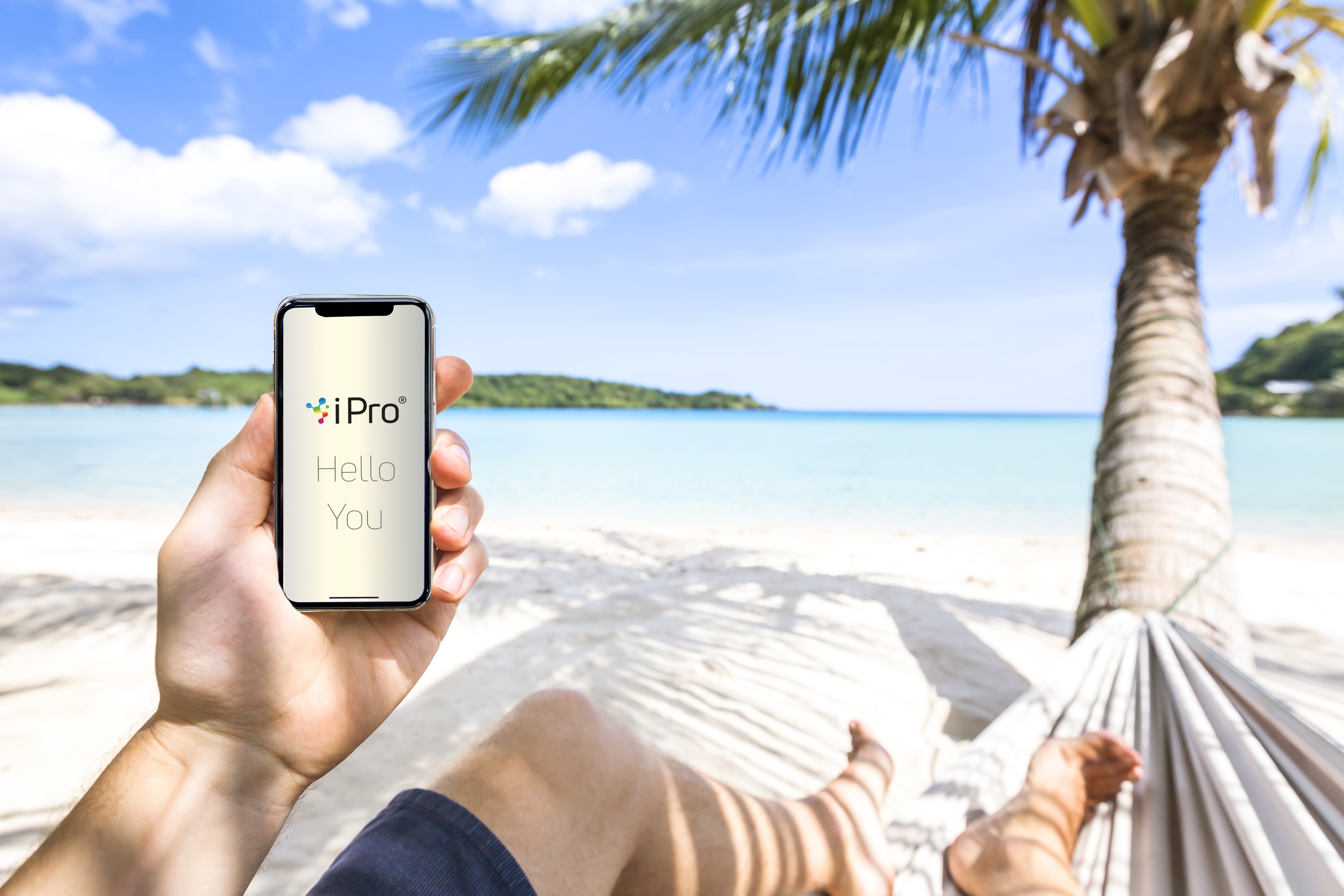 iPro App auf Smartphone